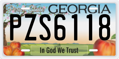 GA license plate PZS6118