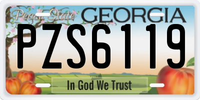 GA license plate PZS6119
