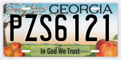 GA license plate PZS6121