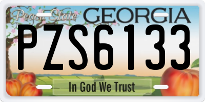 GA license plate PZS6133
