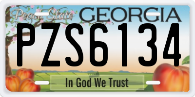 GA license plate PZS6134