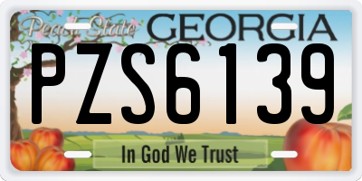 GA license plate PZS6139