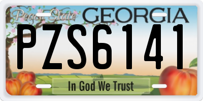 GA license plate PZS6141