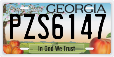 GA license plate PZS6147