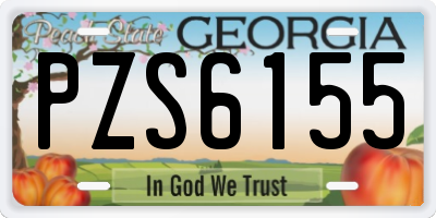 GA license plate PZS6155