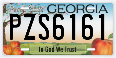 GA license plate PZS6161