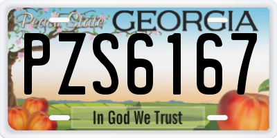 GA license plate PZS6167