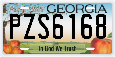 GA license plate PZS6168