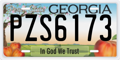 GA license plate PZS6173