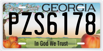 GA license plate PZS6178