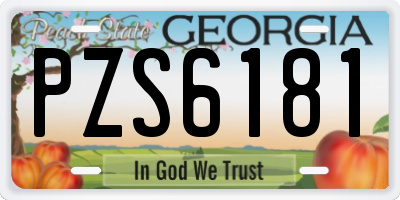 GA license plate PZS6181