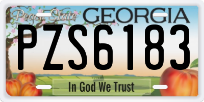GA license plate PZS6183