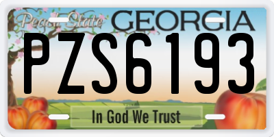 GA license plate PZS6193