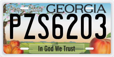 GA license plate PZS6203