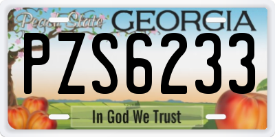 GA license plate PZS6233