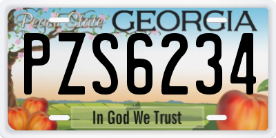 GA license plate PZS6234