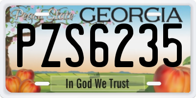 GA license plate PZS6235