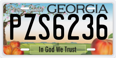 GA license plate PZS6236