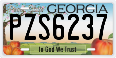 GA license plate PZS6237