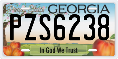 GA license plate PZS6238