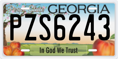 GA license plate PZS6243