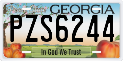 GA license plate PZS6244
