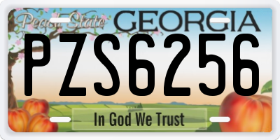GA license plate PZS6256