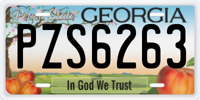 GA license plate PZS6263