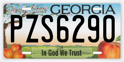 GA license plate PZS6290