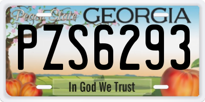 GA license plate PZS6293