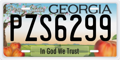 GA license plate PZS6299