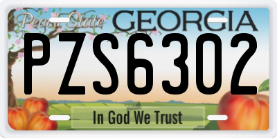 GA license plate PZS6302