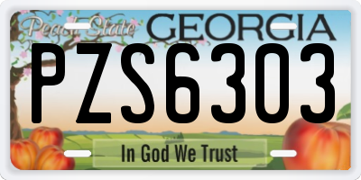 GA license plate PZS6303