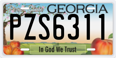 GA license plate PZS6311