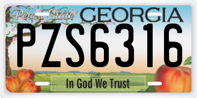 GA license plate PZS6316