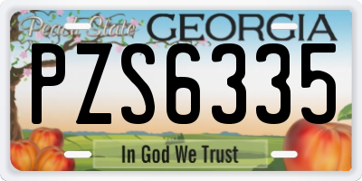 GA license plate PZS6335