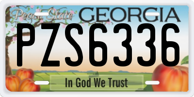 GA license plate PZS6336