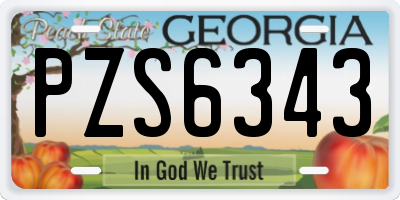 GA license plate PZS6343