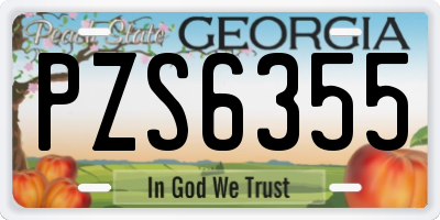 GA license plate PZS6355