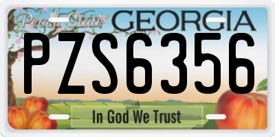 GA license plate PZS6356