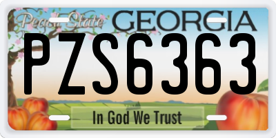 GA license plate PZS6363
