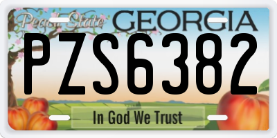GA license plate PZS6382
