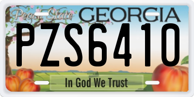 GA license plate PZS6410