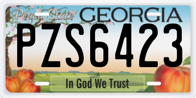 GA license plate PZS6423