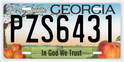 GA license plate PZS6431