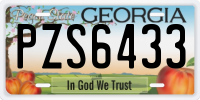 GA license plate PZS6433