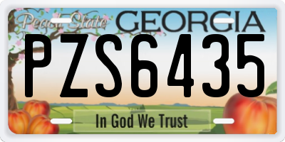 GA license plate PZS6435