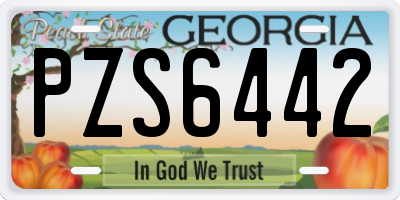 GA license plate PZS6442