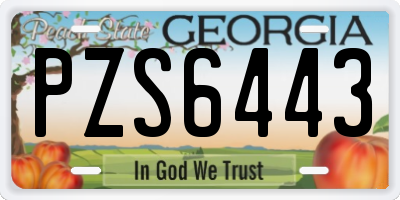 GA license plate PZS6443