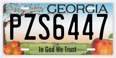 GA license plate PZS6447